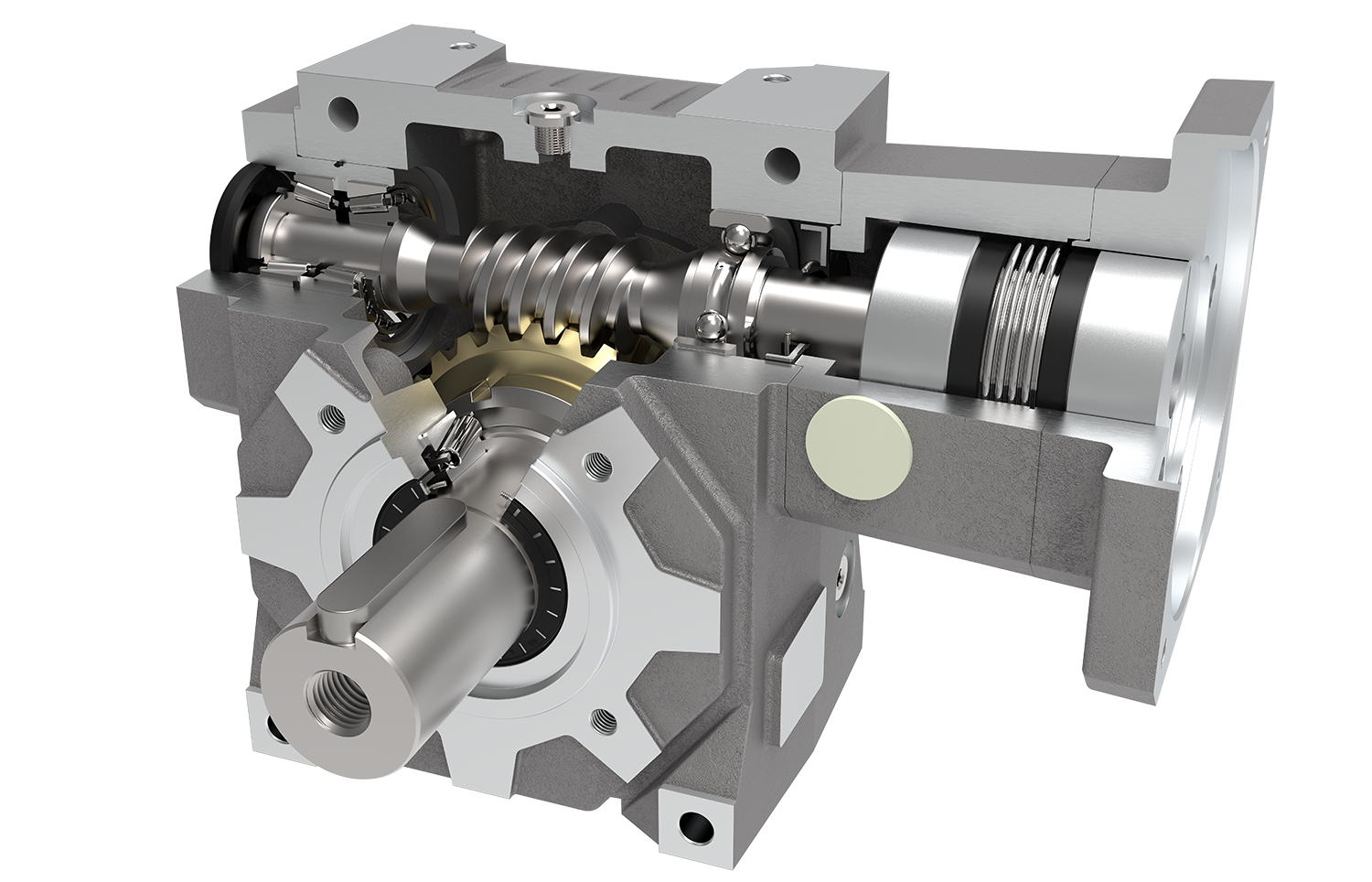 High Performance Servo Worm